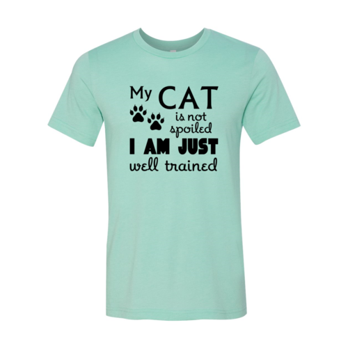 DT0175 My Cat Is Not Spoiled Shirt